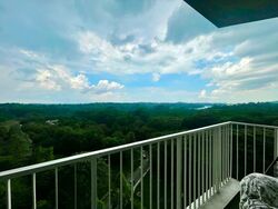 Tree House (D23), Condominium #550705791